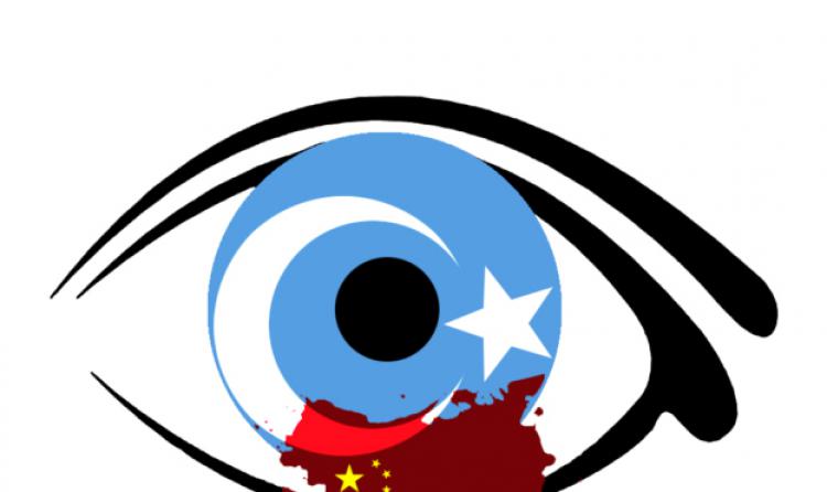 台人軟體惹中國網友! 開源軟體 Notepad ++ 新版本命名「解放維吾爾族」遭中國網軍 DDoS 攻擊